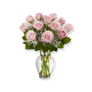 Pink Roses