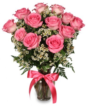Passionately Pink Roses