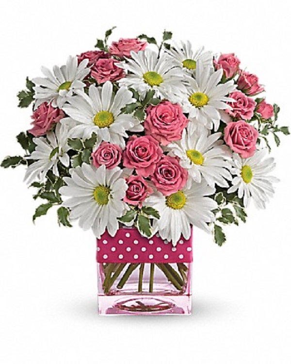 Pink a Dot & Posies