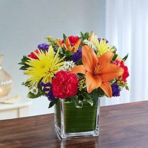 Healing Hope – Multi-Color
