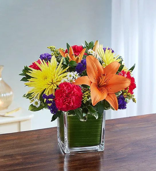 Healing Hope – Multi-Color