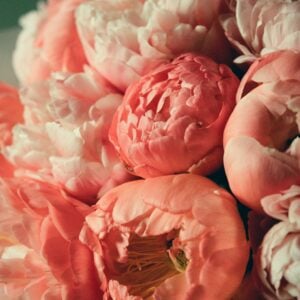 Pink Florist Choice